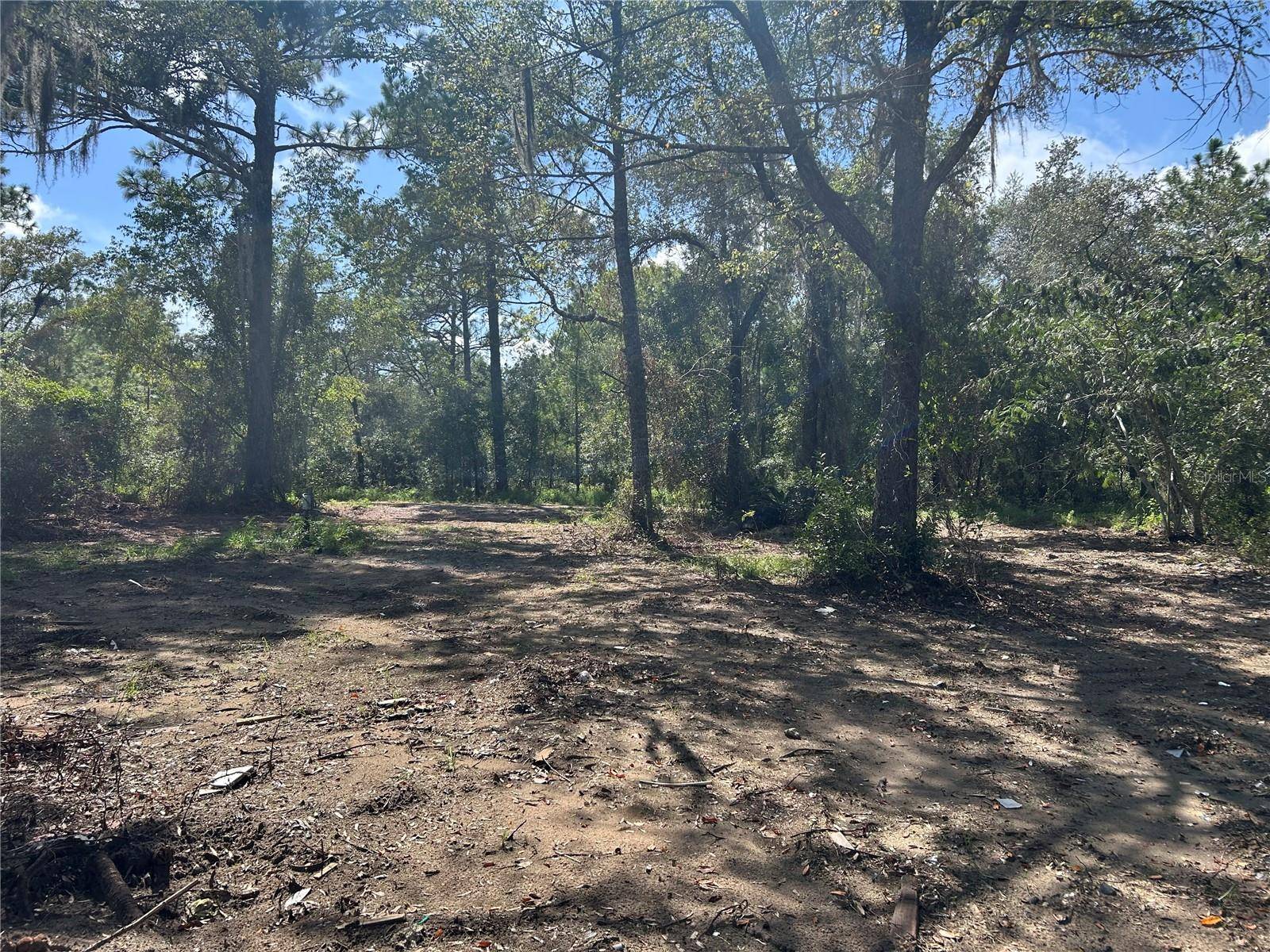 1631 NE 123RD TER, Williston, FL 32696