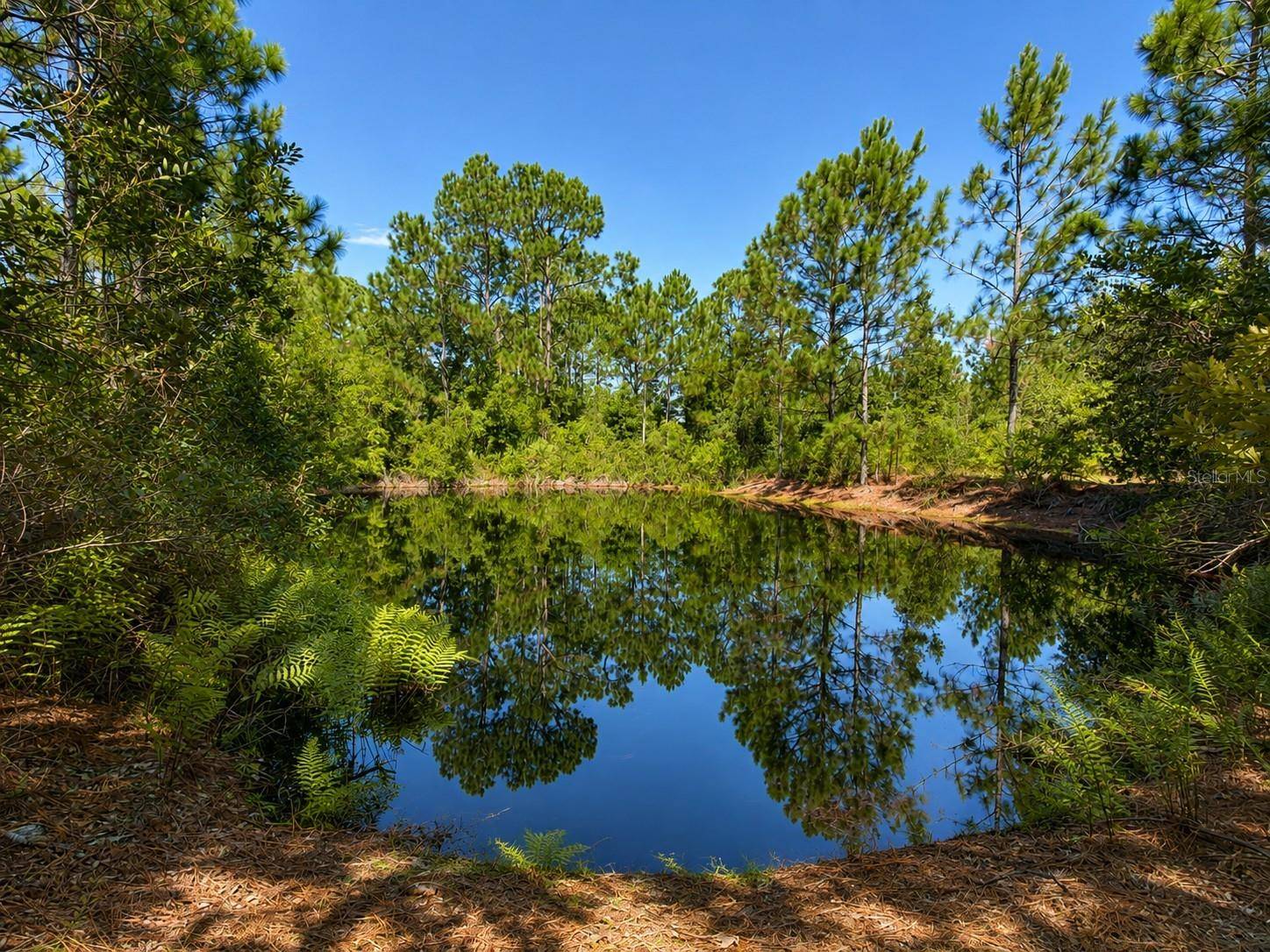5350 OSCEOLA DR, St Cloud, FL 34773