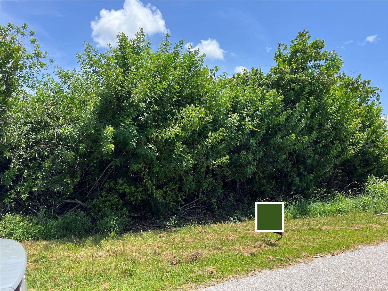 11082 CARNEGIE AVE, Englewood, FL 34224