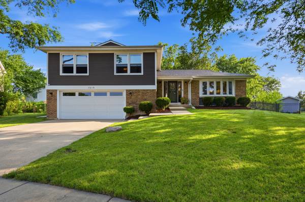 1519 W Raleigh CT, Arlington Heights, IL 60004