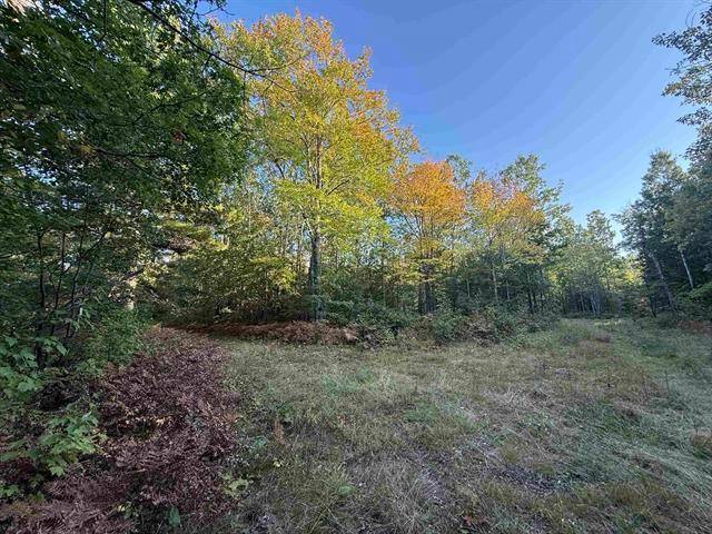 000 US Hwy 2, Iron River, WI 54847