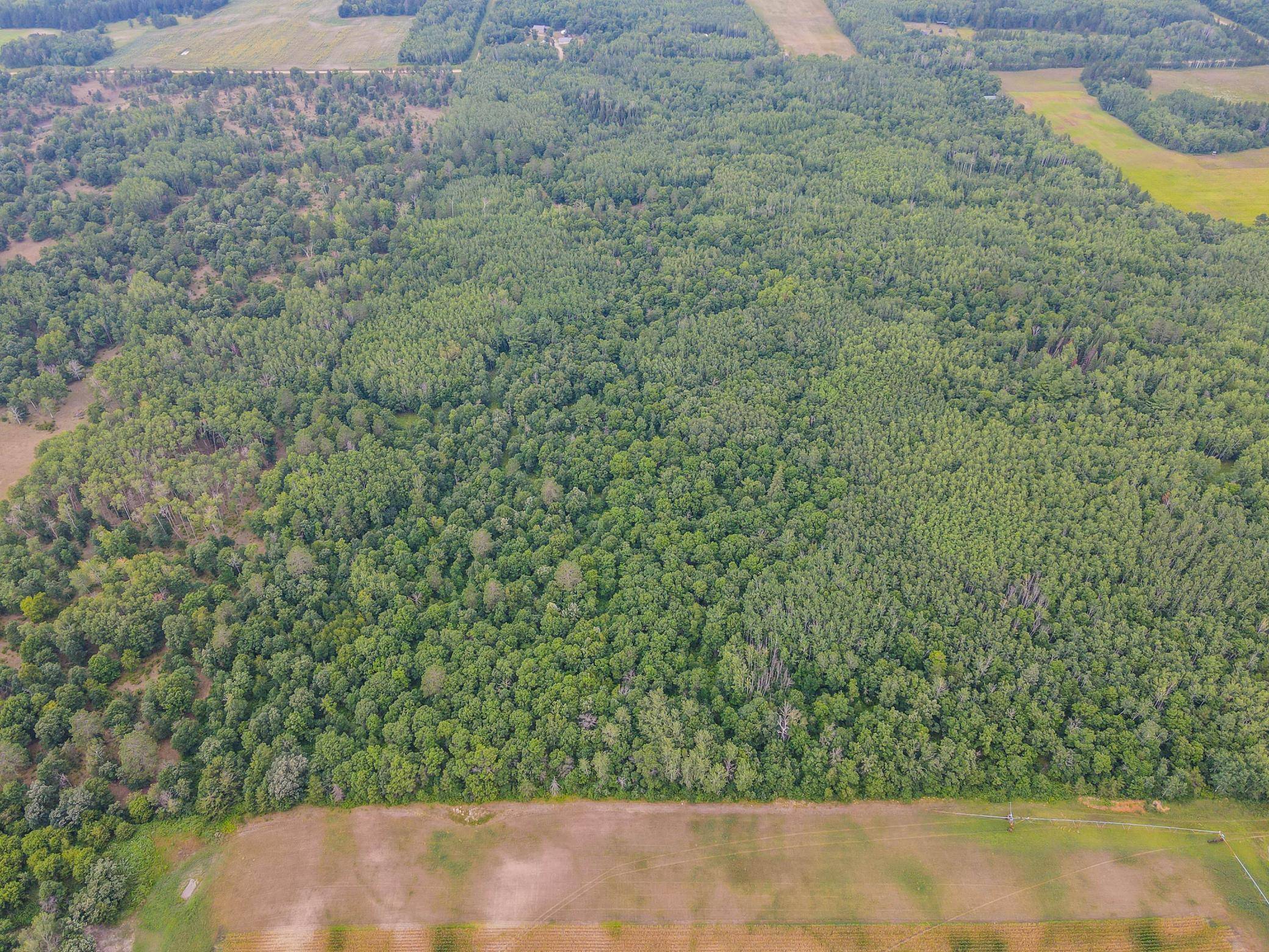 TBD County Road 125, Park Rapids, MN 56470