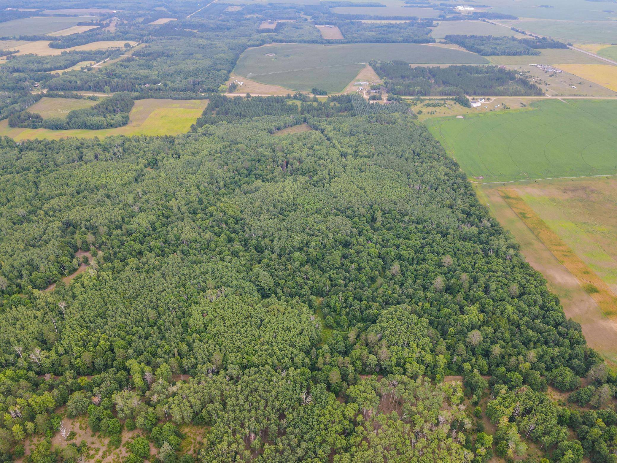 TBD County Road 125, Park Rapids, MN 56470