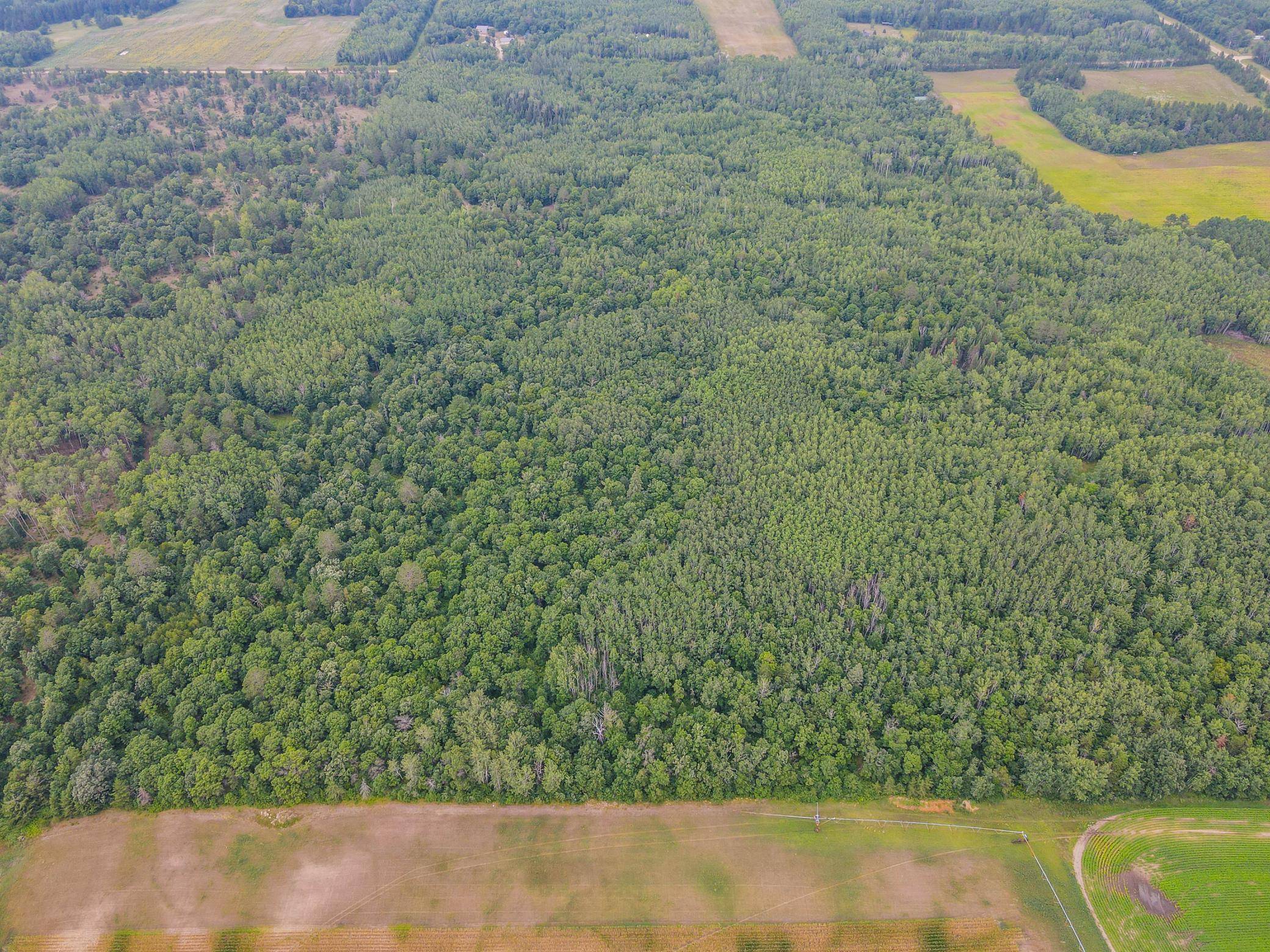 TBD County Road 125, Park Rapids, MN 56470