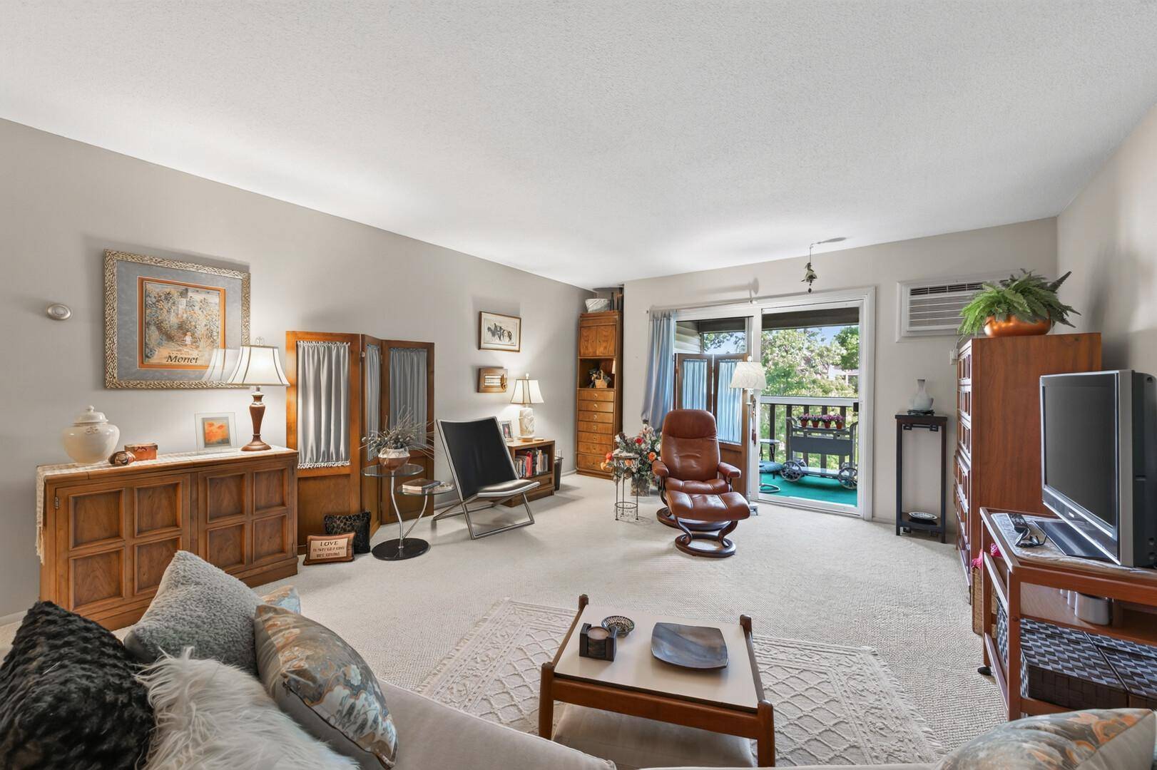 4045 Hodgson RD #317, Shoreview, MN 55126
