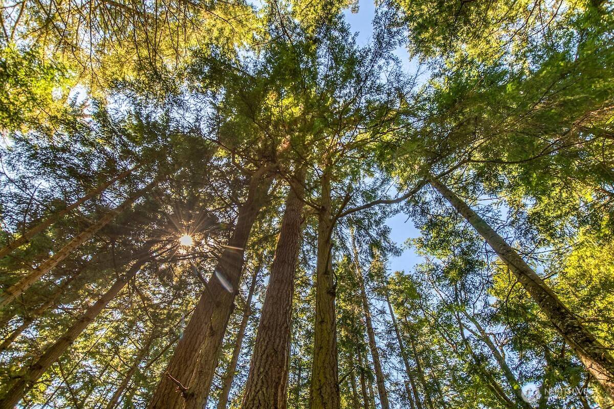 0 Pioneer Hill RD, Orcas Island, WA 98245