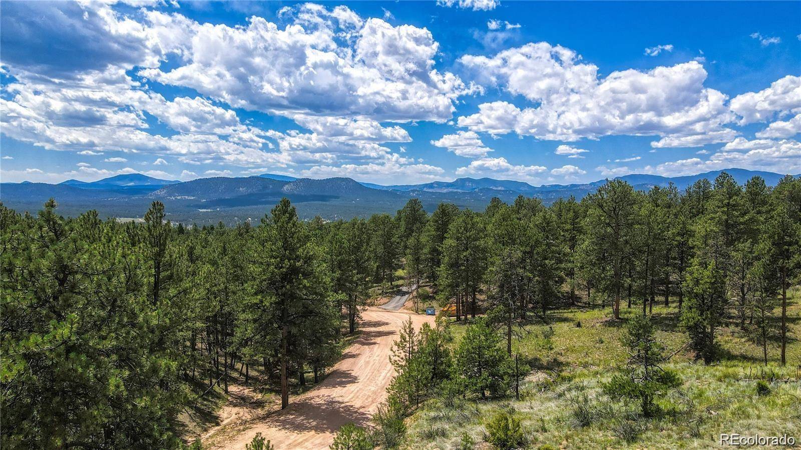 2075 Pikes Peak DR, Florissant, CO 80816