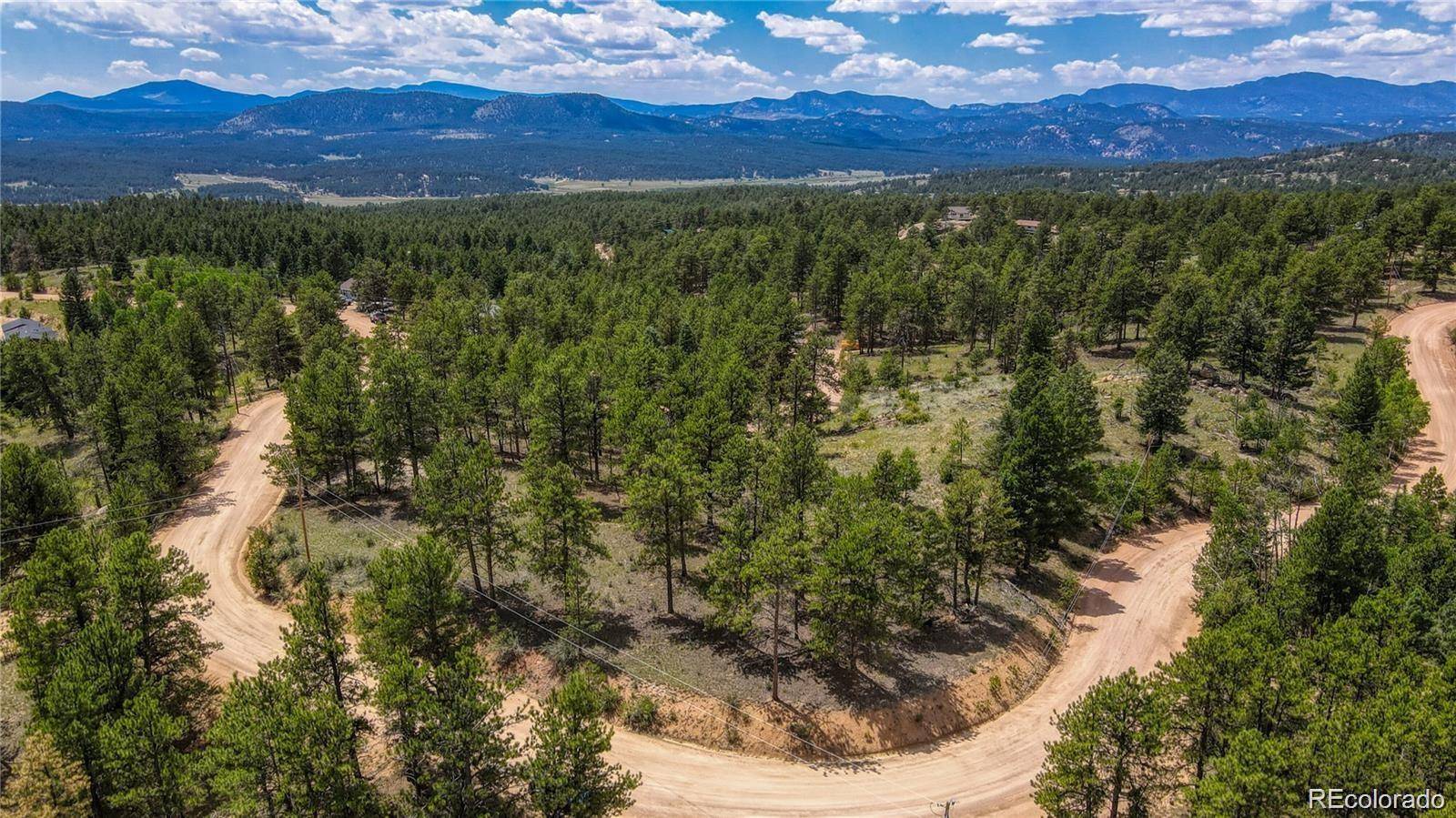 2075 Pikes Peak DR, Florissant, CO 80816