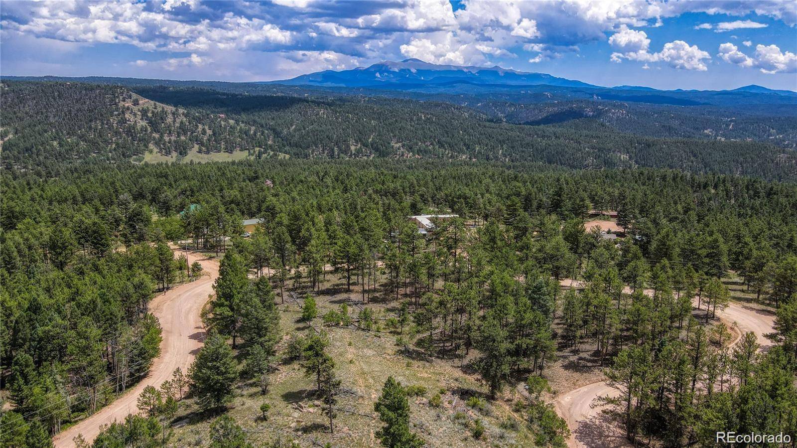 2075 Pikes Peak DR, Florissant, CO 80816