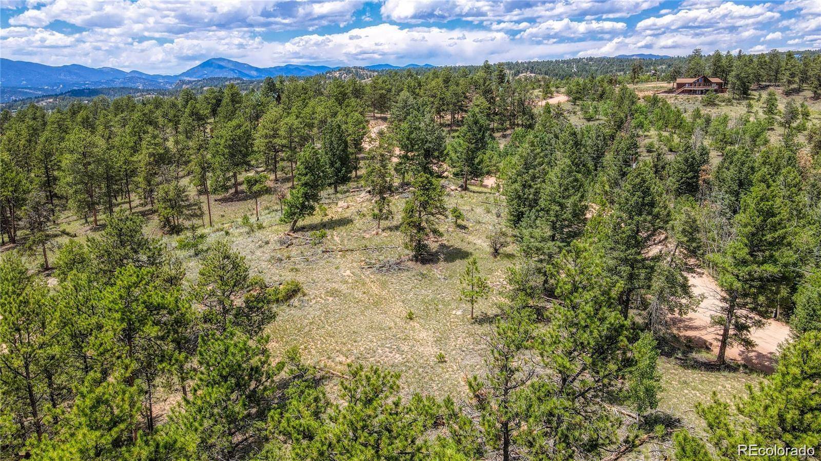 2075 Pikes Peak DR, Florissant, CO 80816