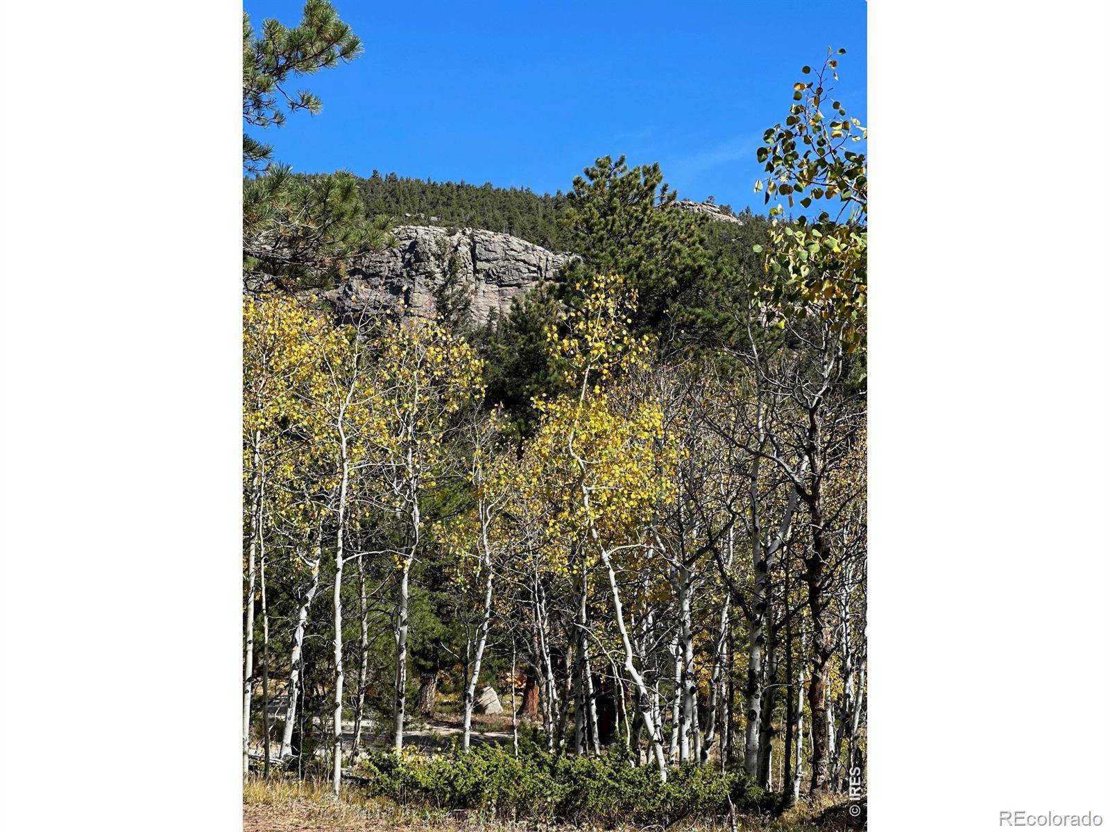 246 Tahosa Park South RD, Allenspark, CO 80510