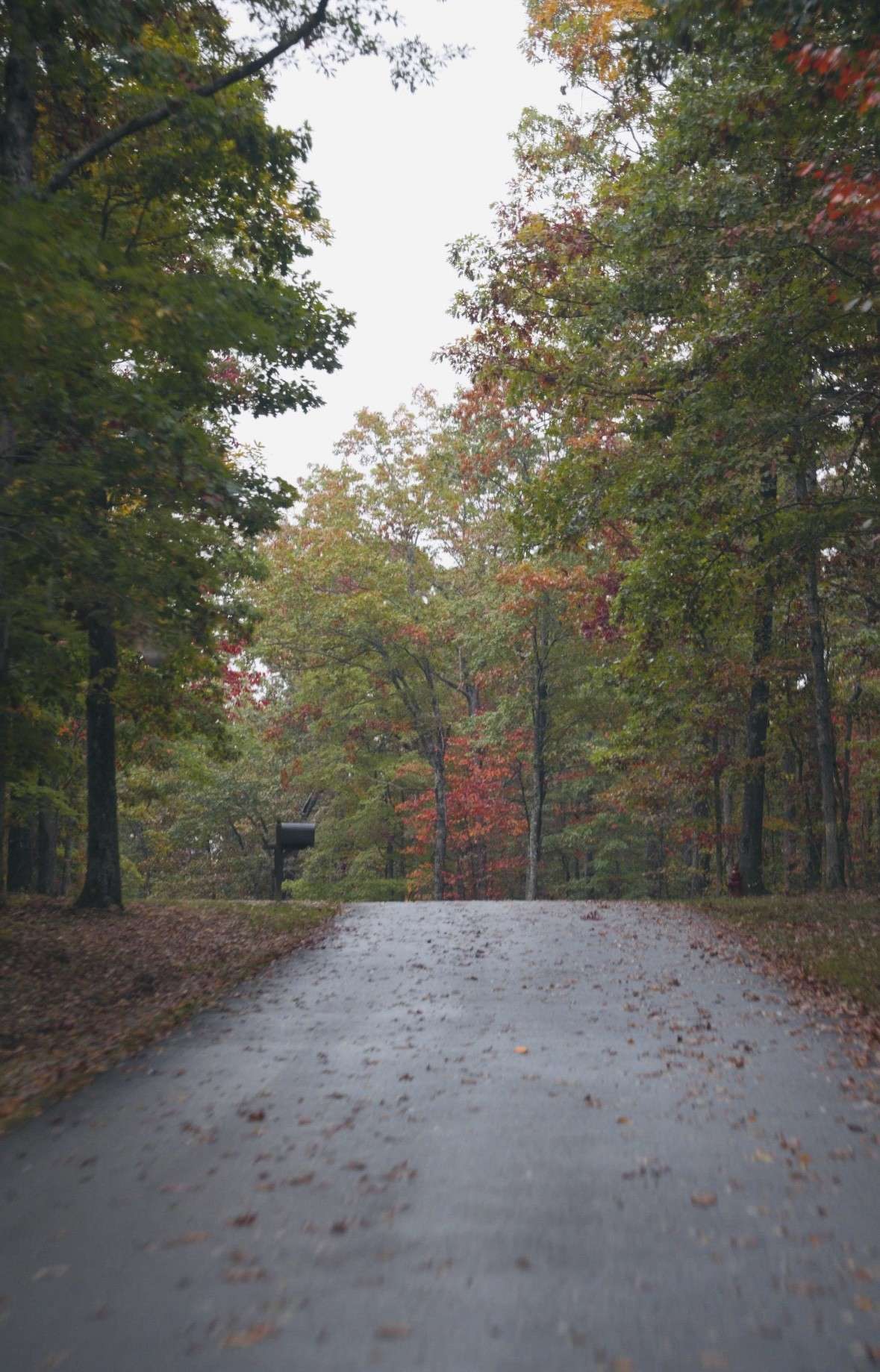 0 Cooleys Rift Blvd, Monteagle, TN 37356