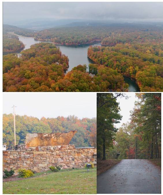 0 Cooleys Rift Blvd, Monteagle, TN 37356