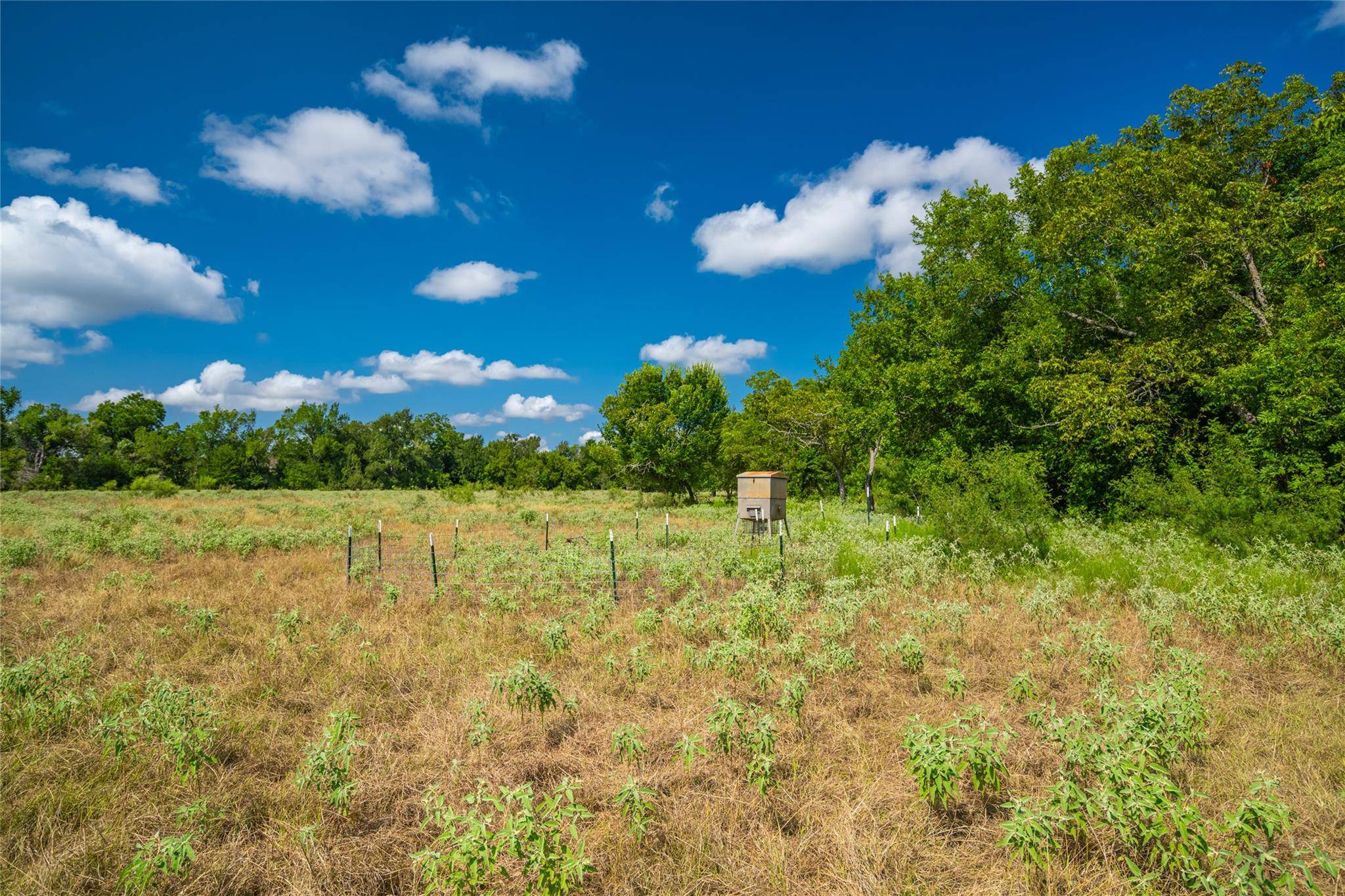 17000 FM 112, Thrall, TX 76578