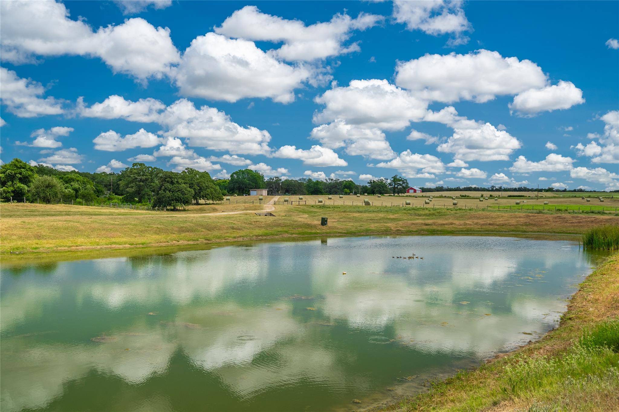 17000 FM 112, Thrall, TX 76578
