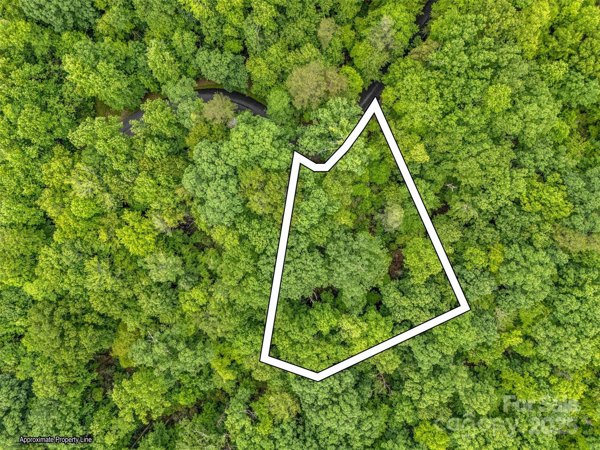 0 Quail Ridge RD #214, Lake Lure, NC 28746