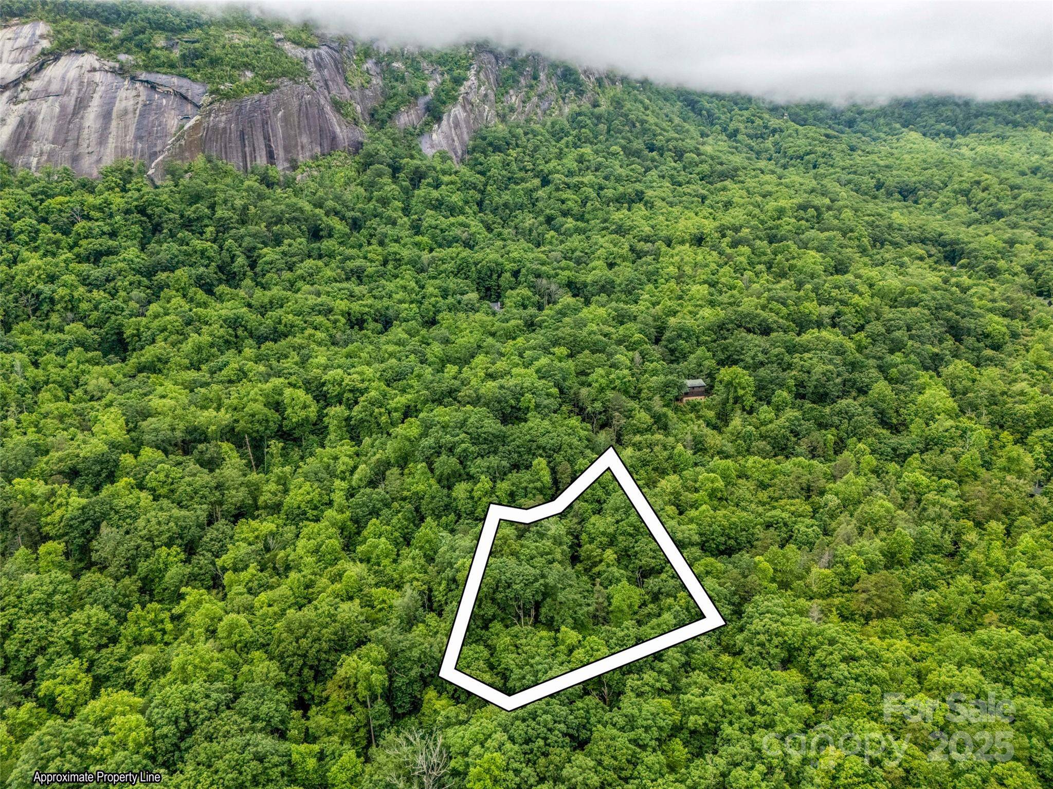 0 Quail Ridge RD #214, Lake Lure, NC 28746