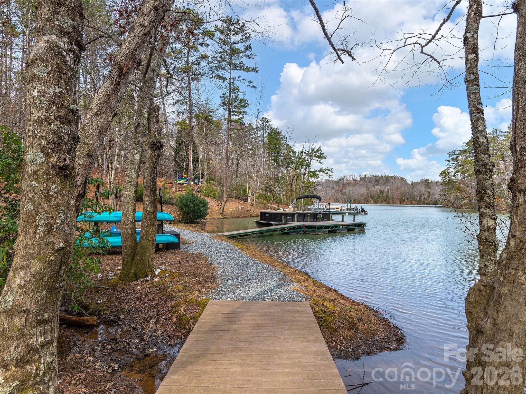 201 Hawk Ridge DR, Mill Spring, NC 28756