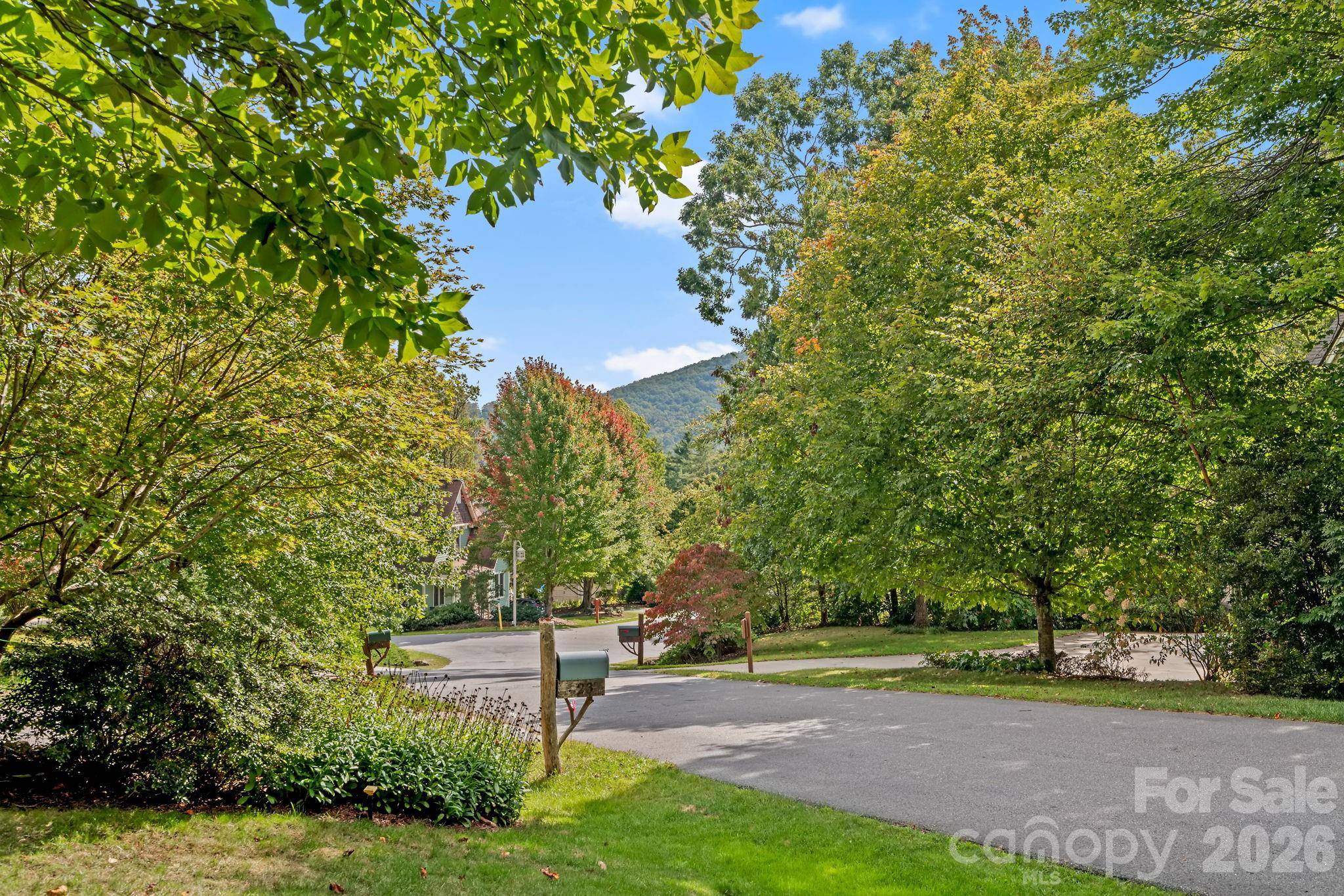 25 E Owl Creek LN, Fairview, NC 28730
