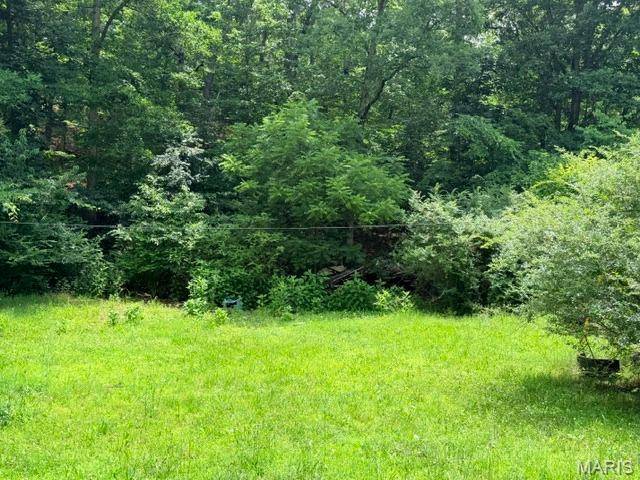 0 NE 6th Street, Mill Spring, MO 63952