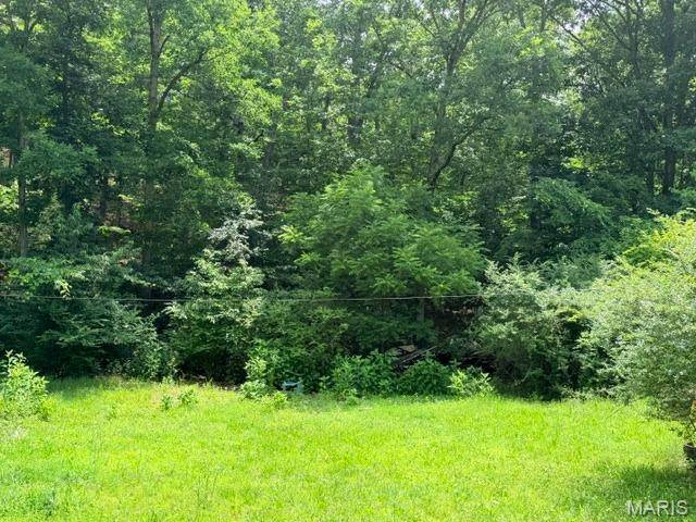 0 NE 6th Street, Mill Spring, MO 63952