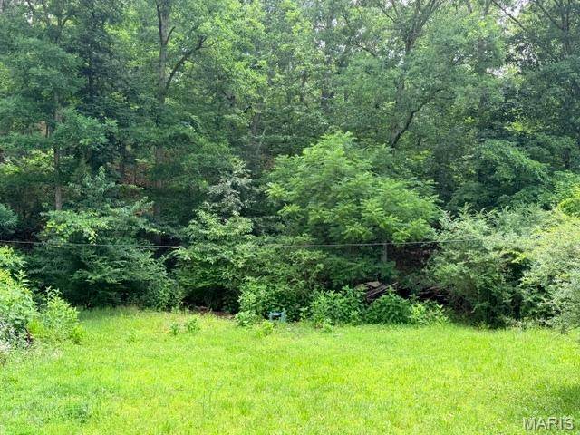 0 NE 6th Street, Mill Spring, MO 63952