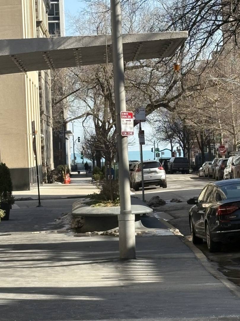 20 E Goethe ST #404, Chicago, IL 60610