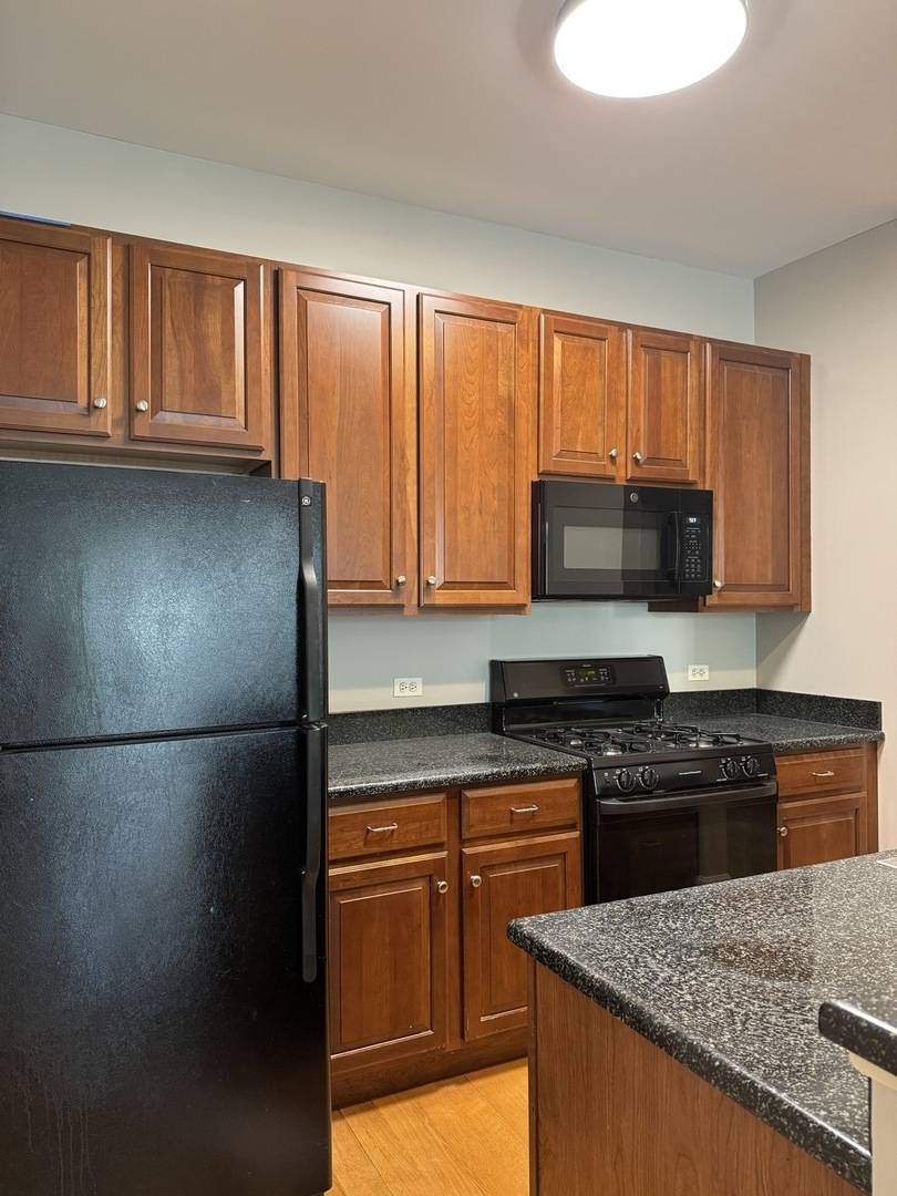 647 N Green ST #207, Chicago, IL 60642