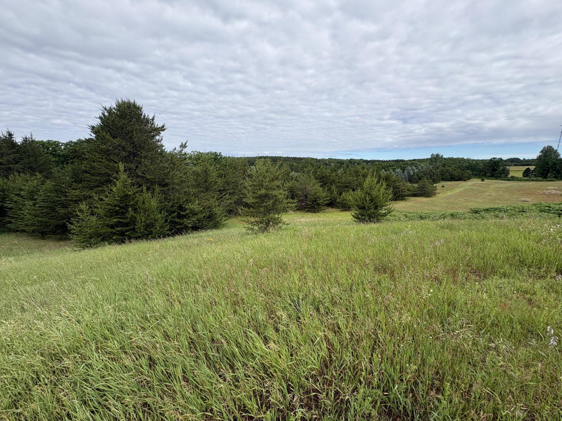 TBD 155th AVE, Fort Ripley, MN 56449