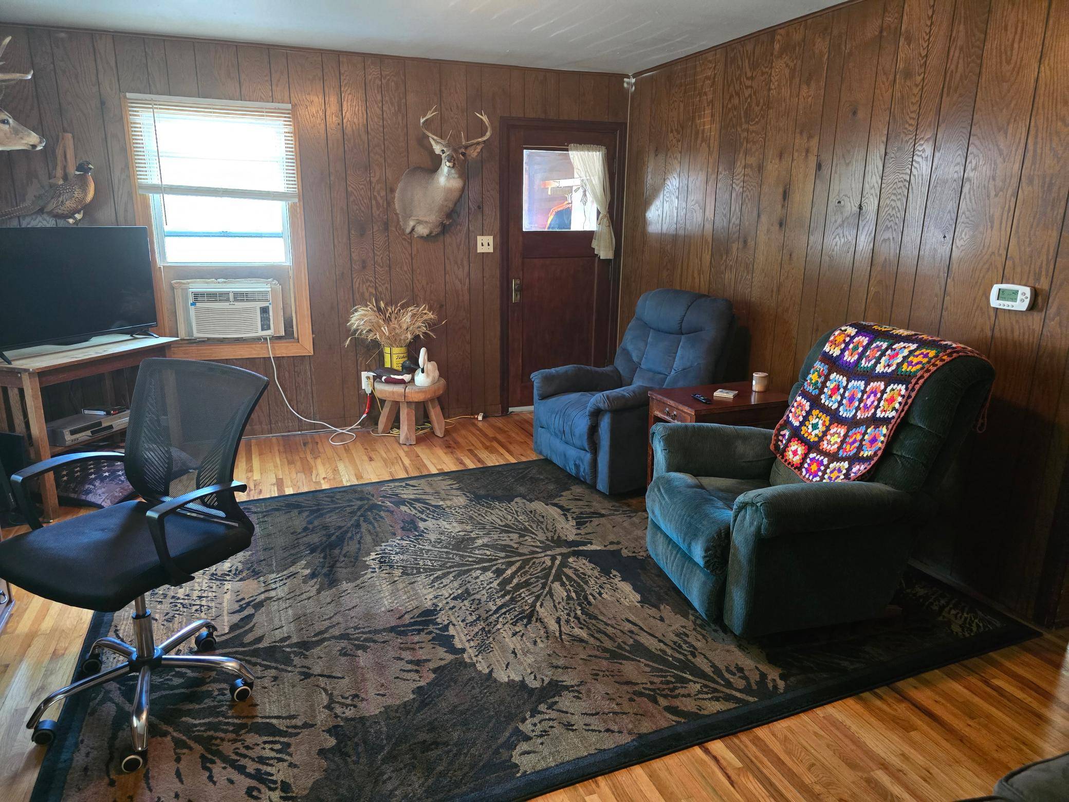 305 E Hill DR, Frazee, MN 56544