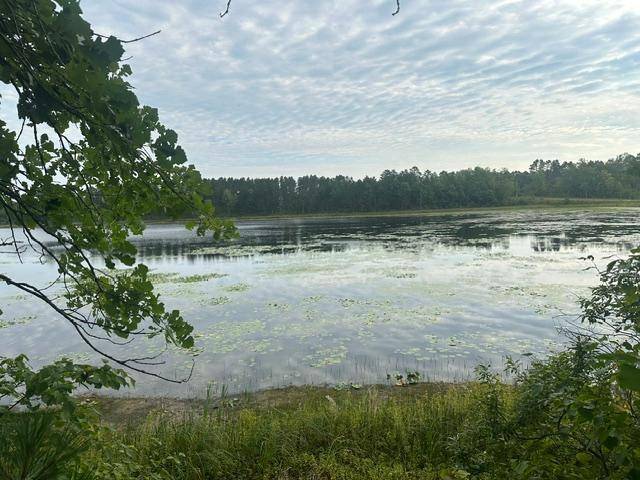 17263 Mission RD SE, Cass Lake, MN 56633