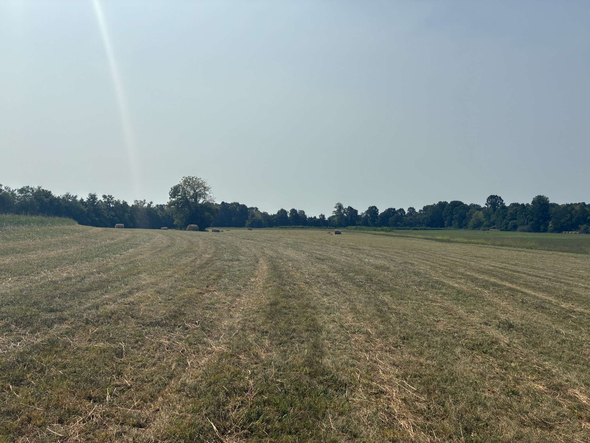 5553 Thick Rd, Chapel Hill, TN 37034