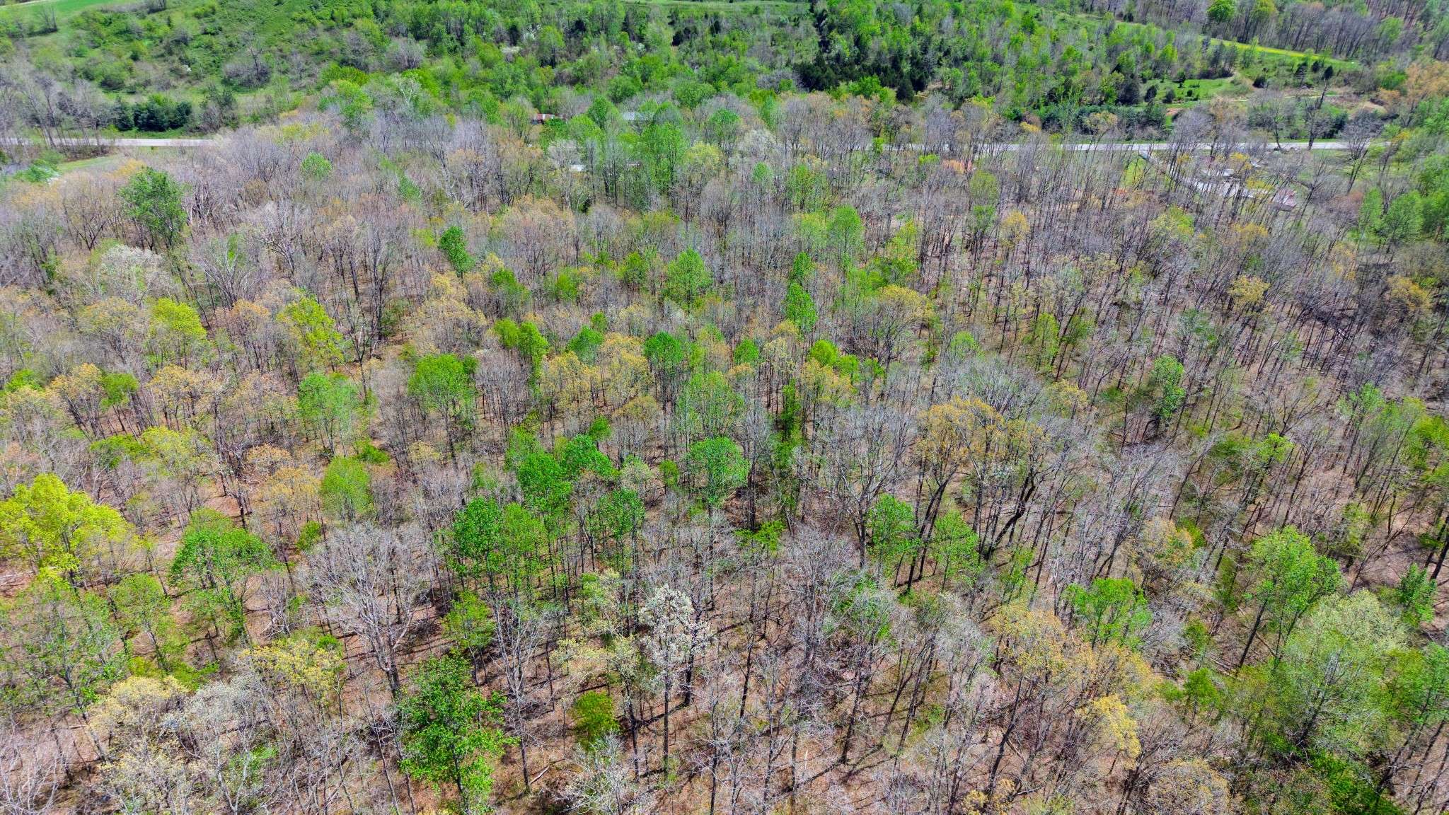 0 Highway 13, Erin, TN 37061