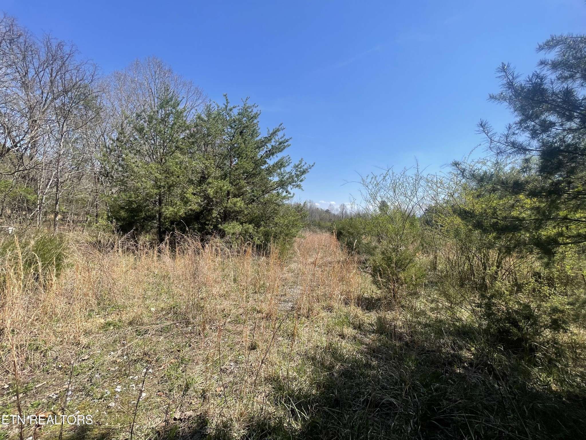 317 Mountain View Drive, Vonore, TN 37885
