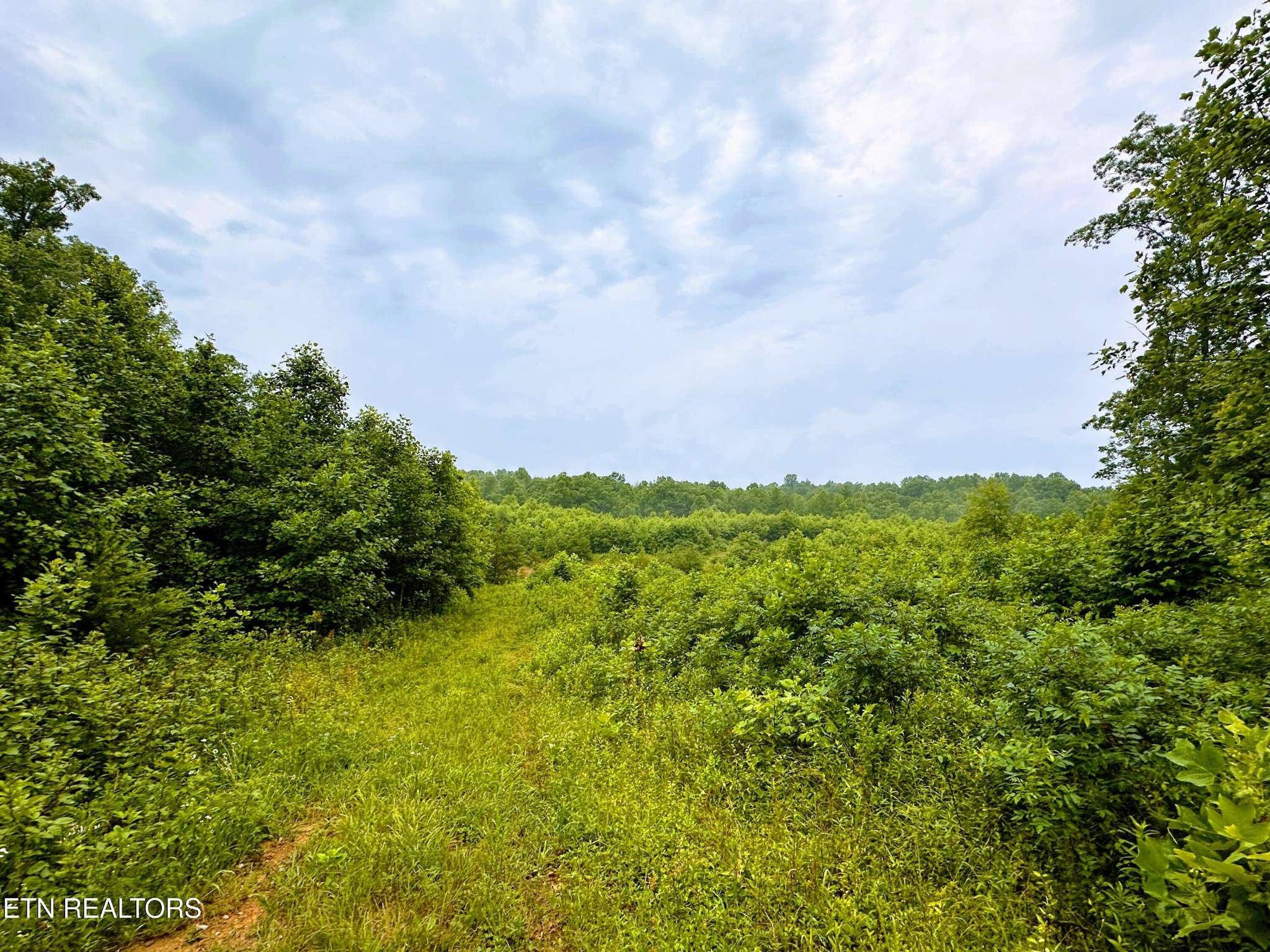 1344 Chestnut Ridge Rd, Allardt, TN 38504