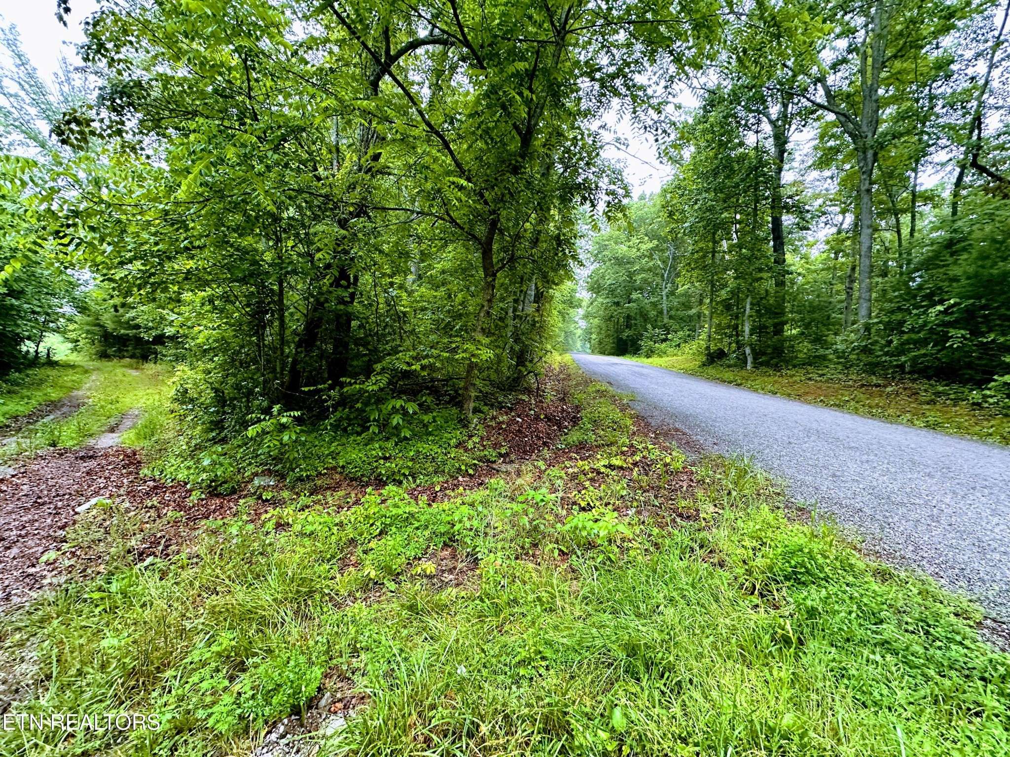 1344 Chestnut Ridge Rd, Allardt, TN 38504