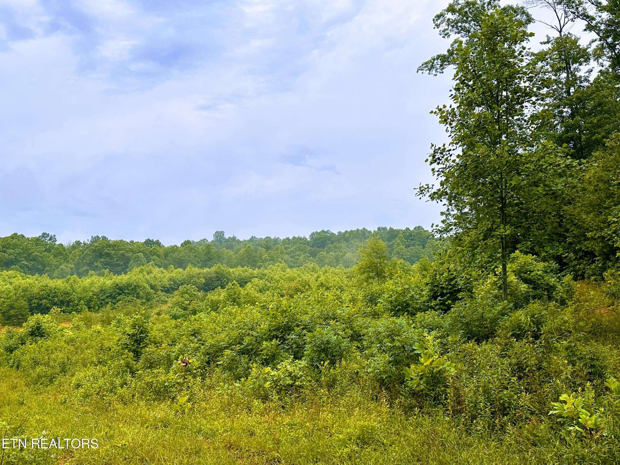 1344 Chestnut Ridge Rd, Allardt, TN 38504