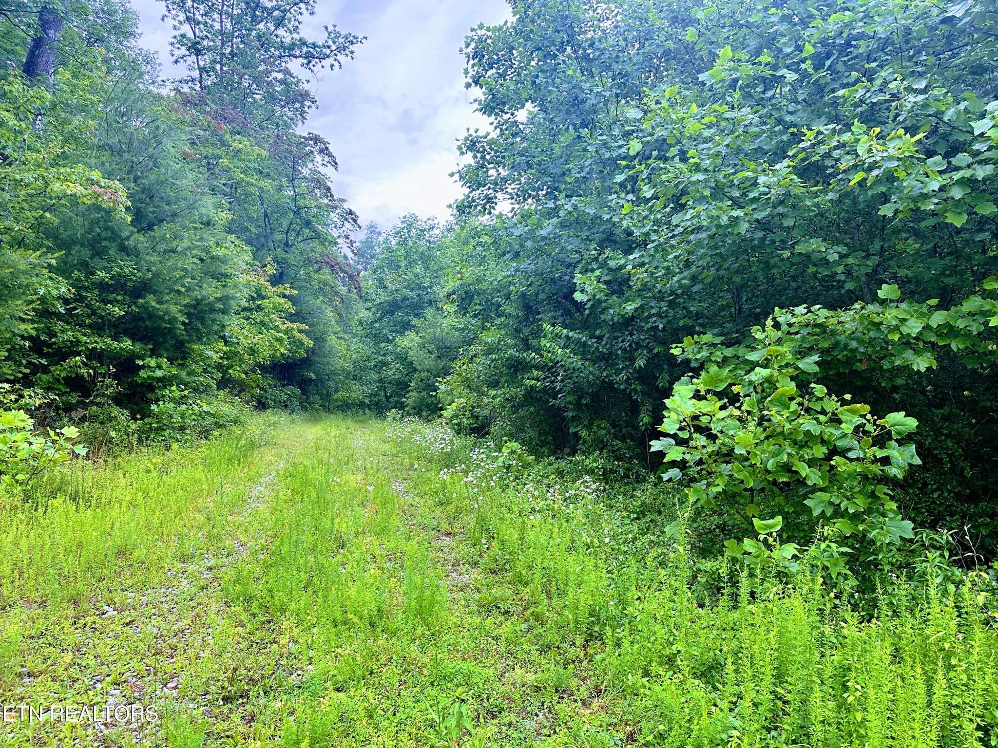 1344 Chestnut Ridge Rd, Allardt, TN 38504