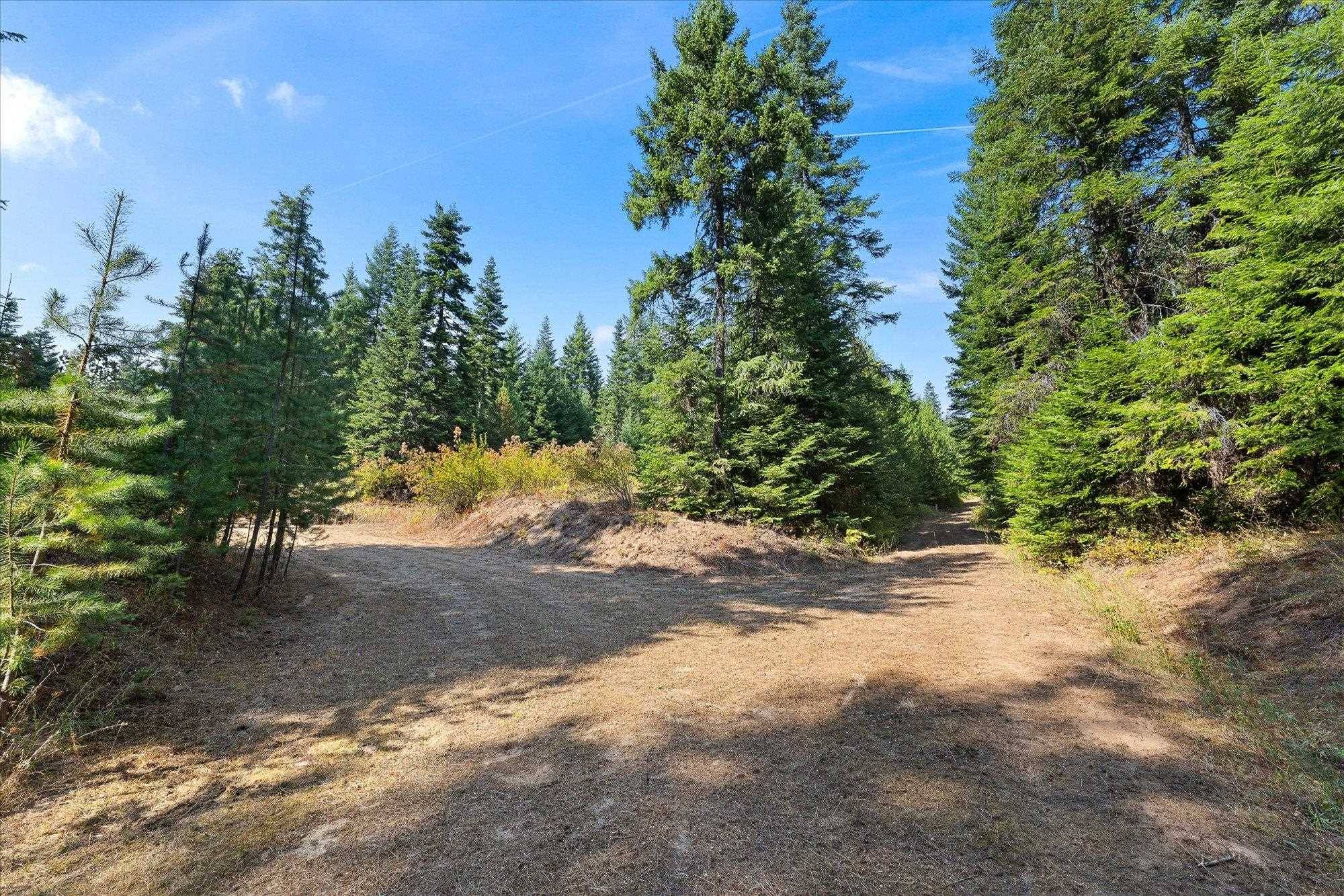 221 Veit Springs Ln, Newport, WA 99156