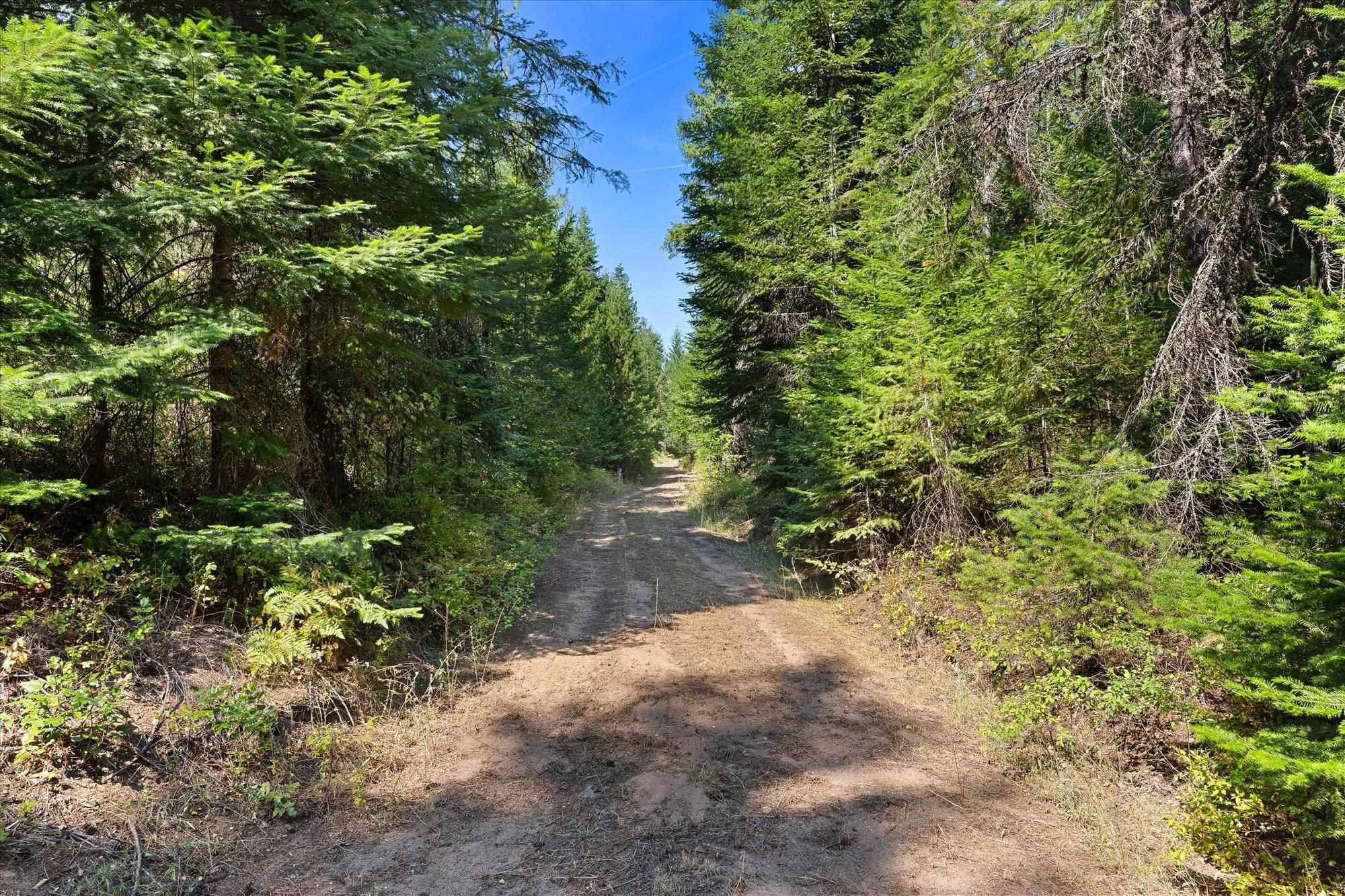 221 Veit Springs Ln, Newport, WA 99156