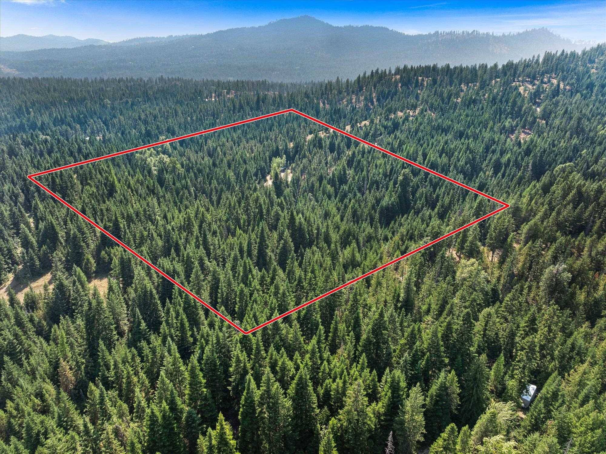 221 Veit Springs Ln, Newport, WA 99156