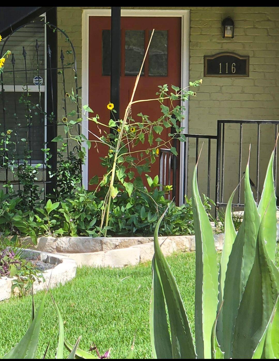 1500 East Side DR #116A, Austin, TX 78704