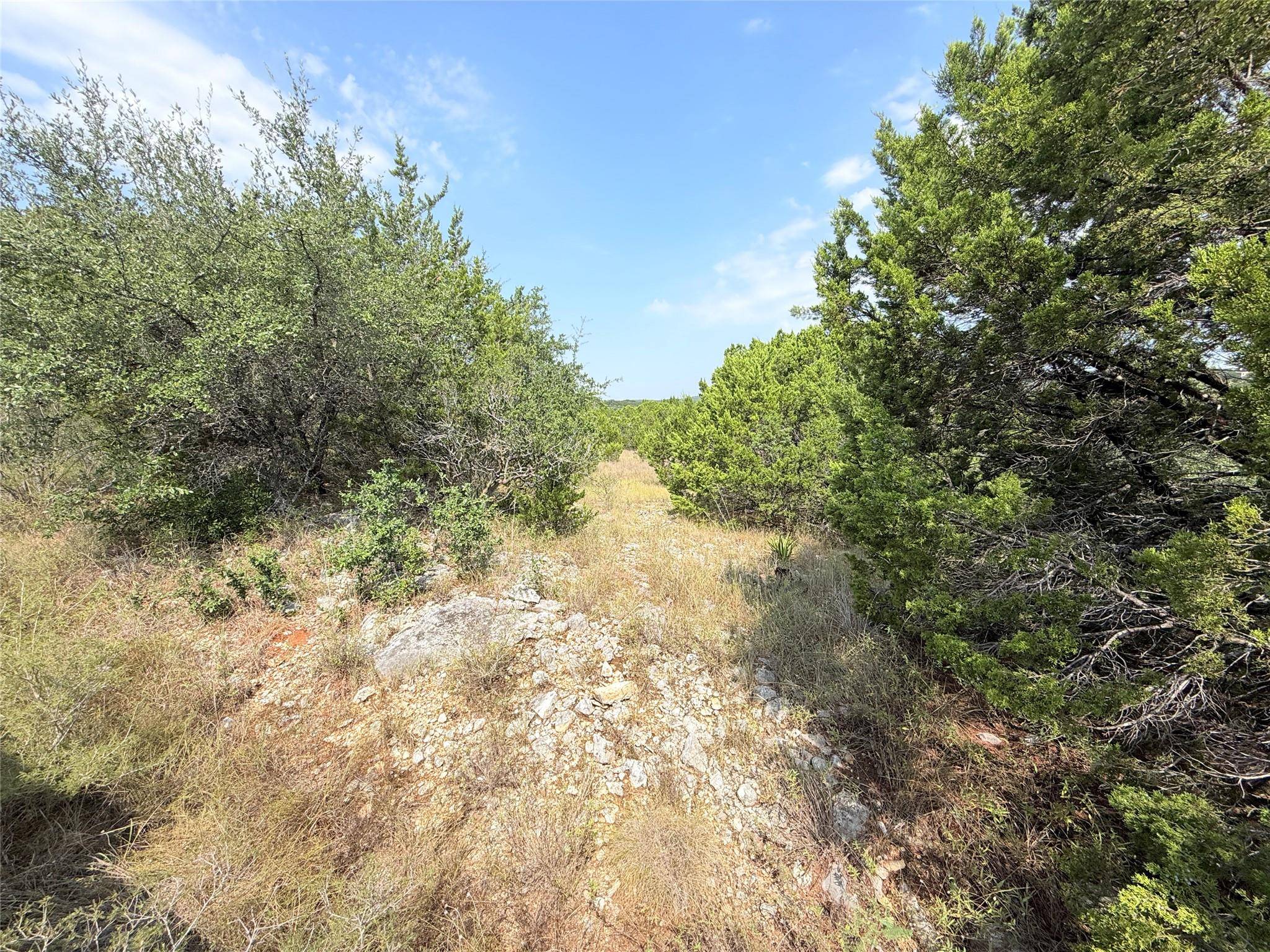 8204 Chestnut CV, Lago Vista, TX 78645