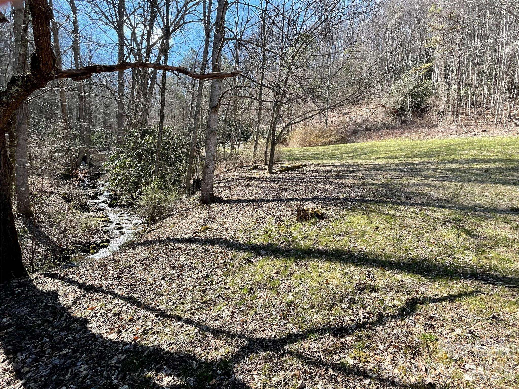 81 Peepeye Cove RD, Leicester, NC 28748