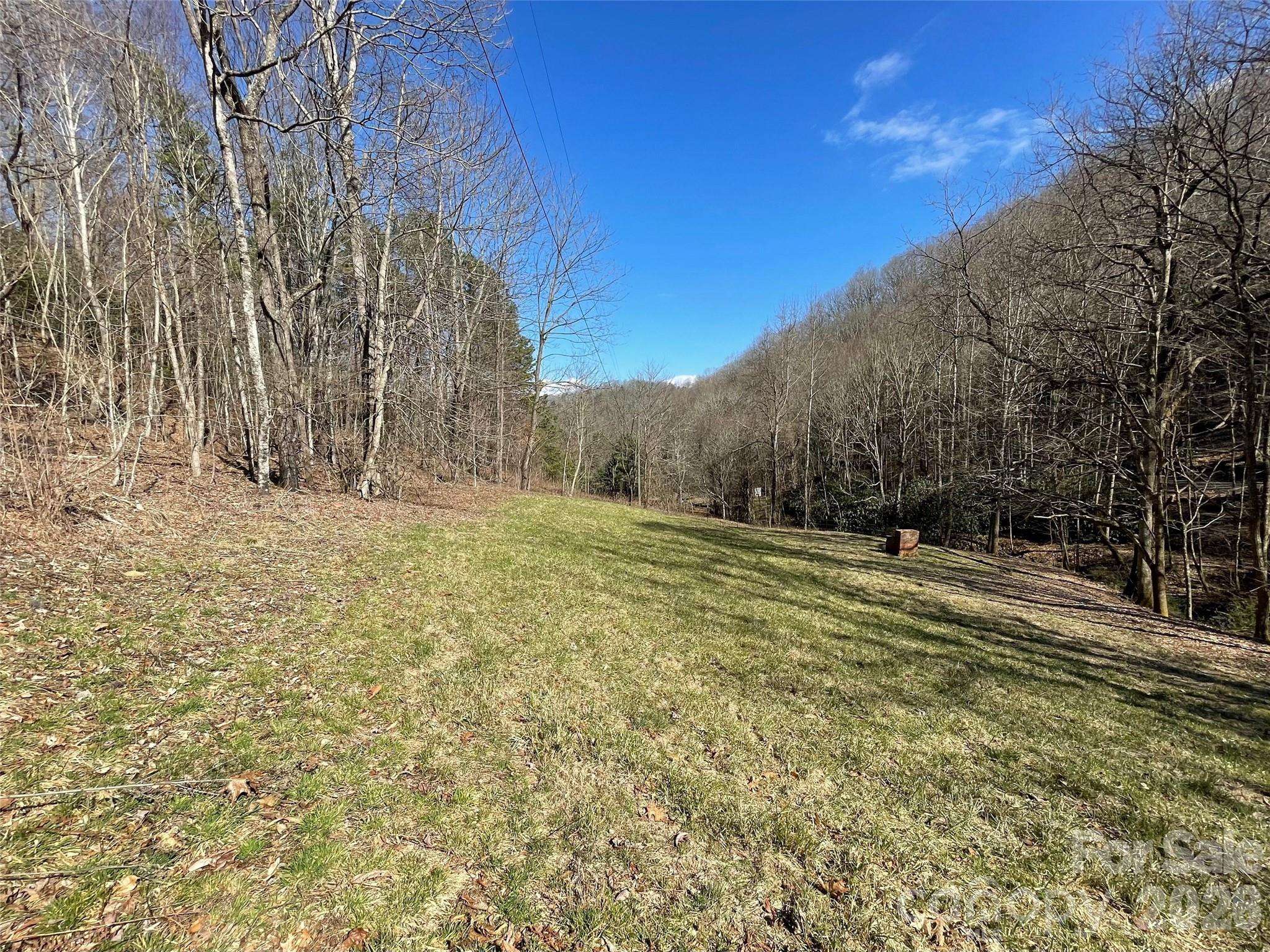 81 Peepeye Cove RD, Leicester, NC 28748