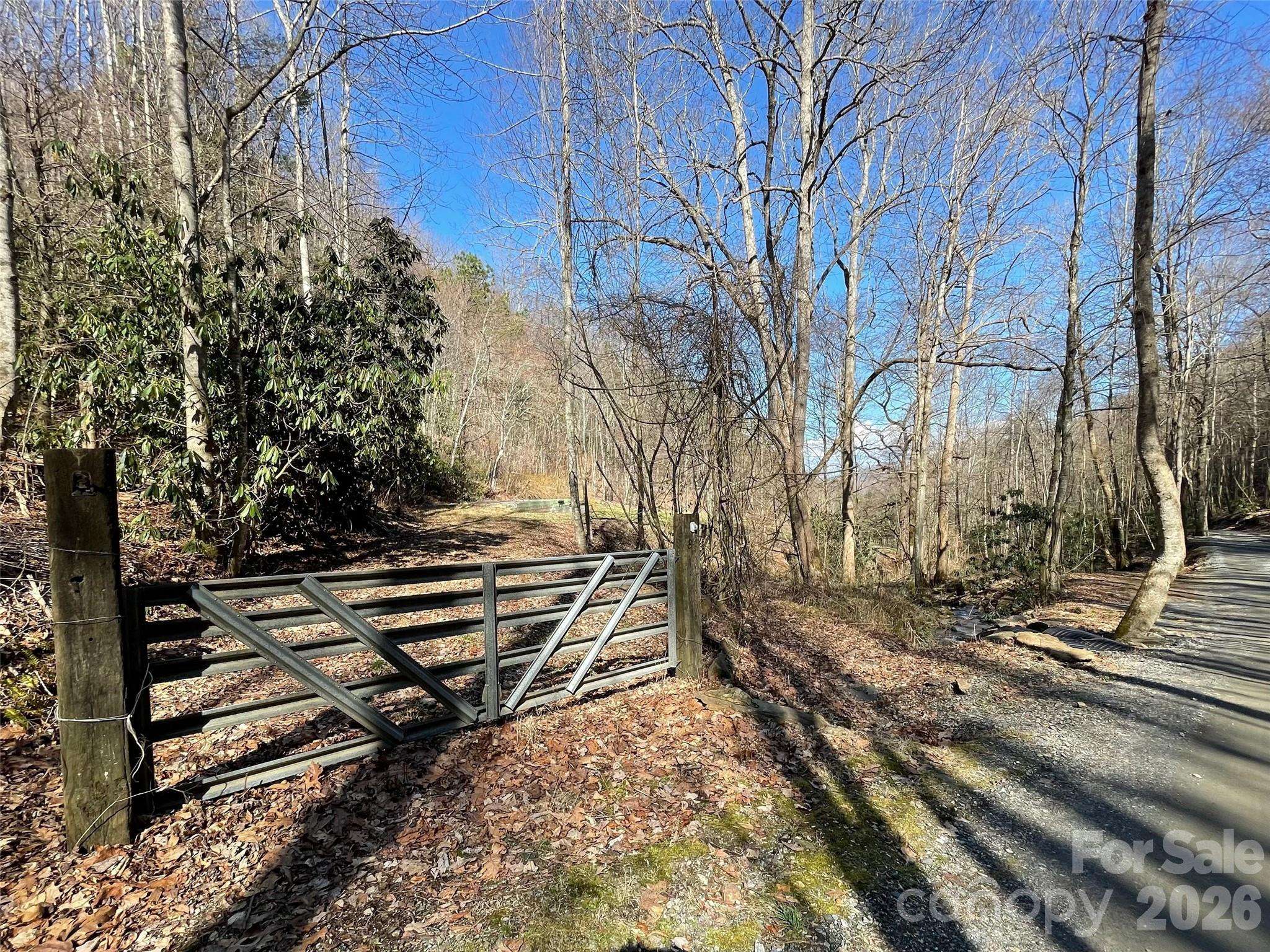 81 Peepeye Cove RD, Leicester, NC 28748