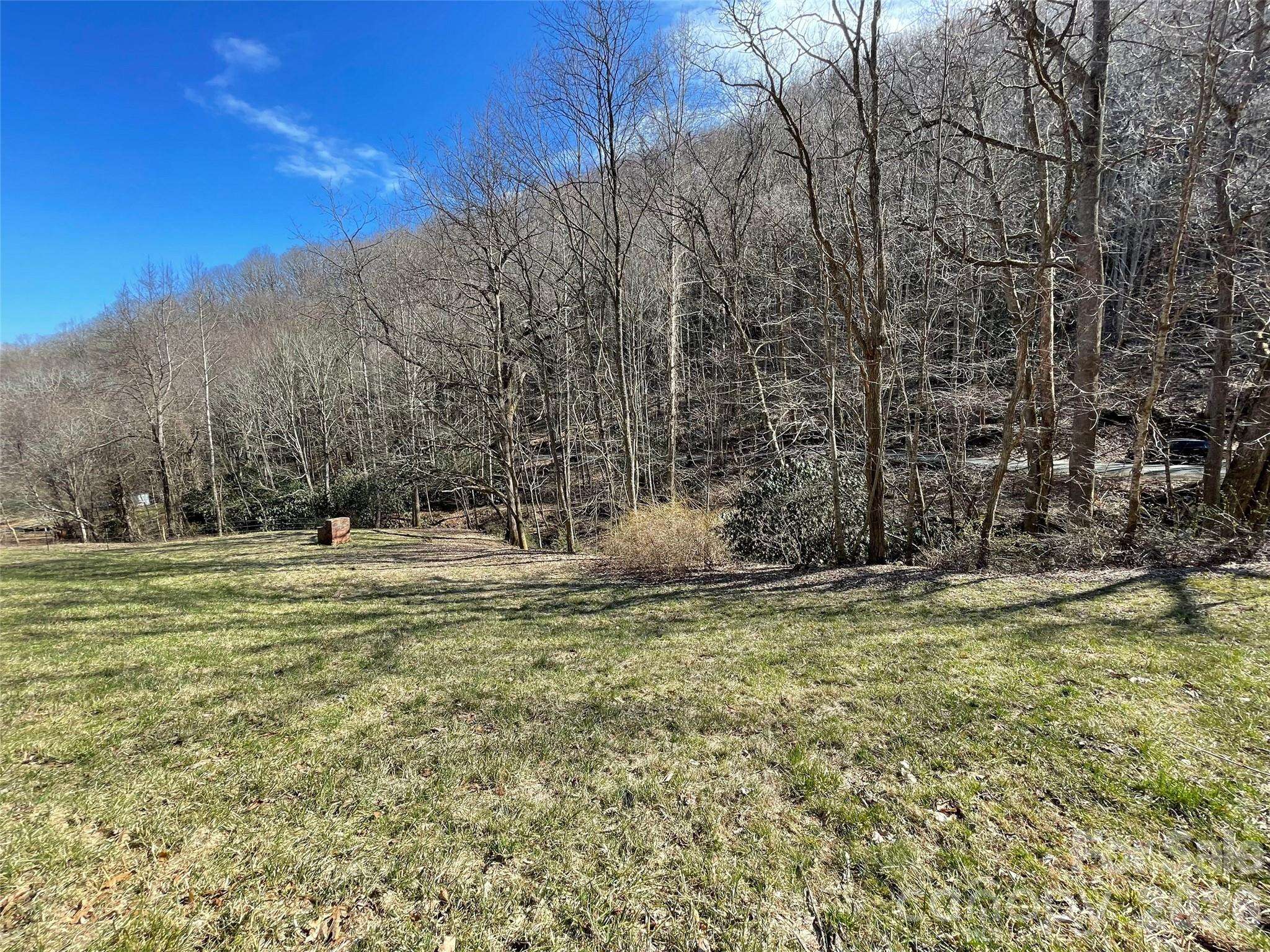 81 Peepeye Cove RD, Leicester, NC 28748
