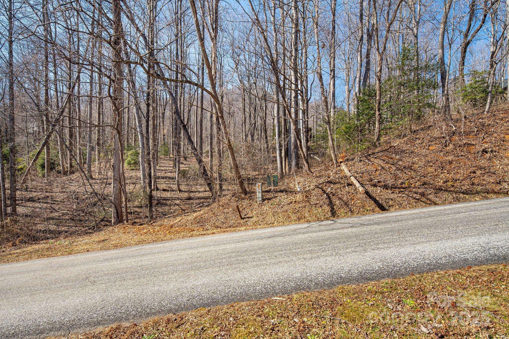 000 Blue Ridge DR N #164, Marion, NC 28752