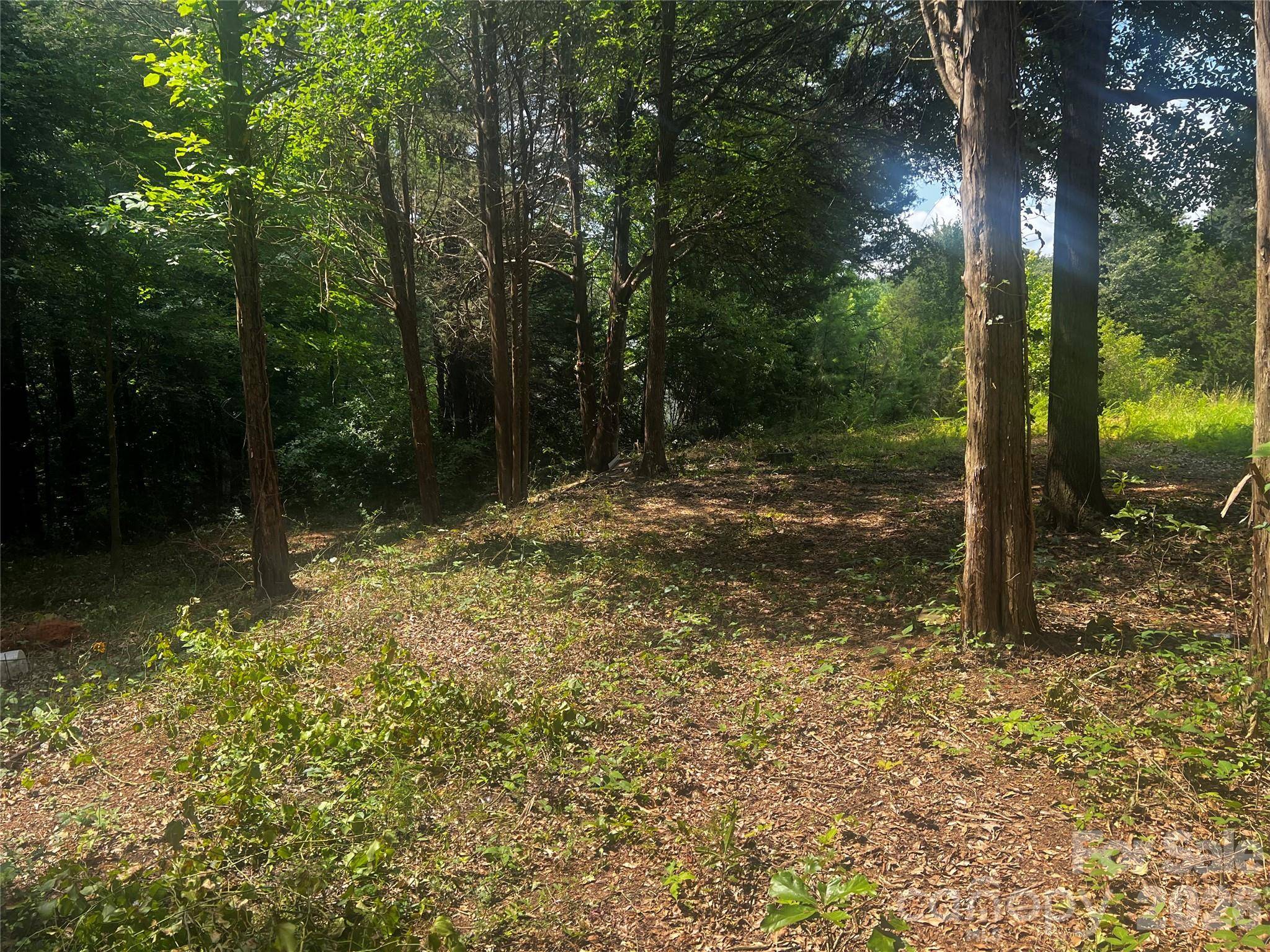 10376 Turnplow DR #9, Davidson, NC 28036