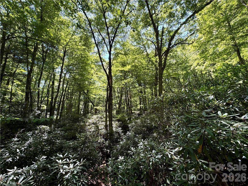 tbd Boulder Creek DR #3, Boone, NC 28607